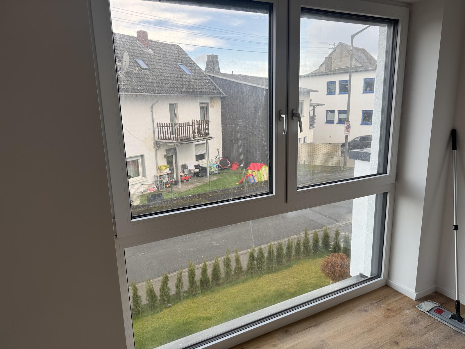 Fensterreinigung